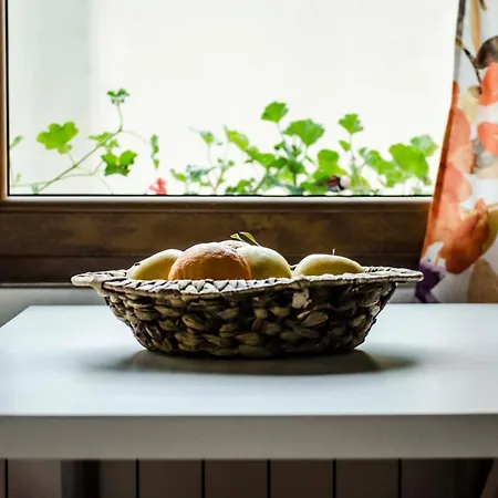 Off Vitosha Blvd Designer