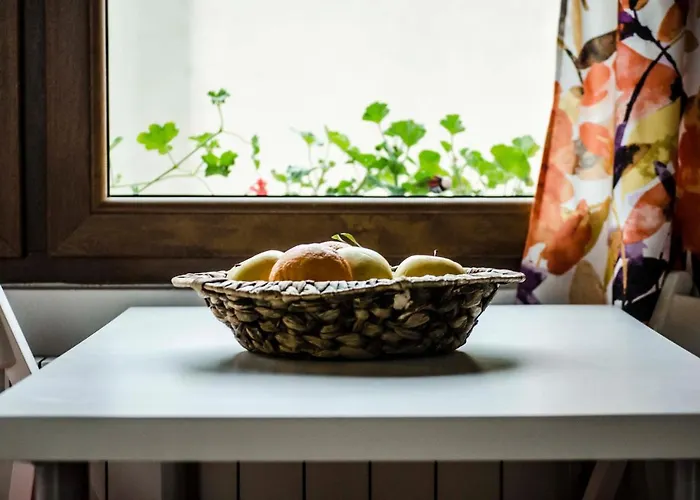 Off Vitosha Blvd Designer